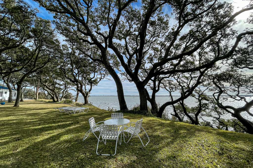 MC03 White Oak