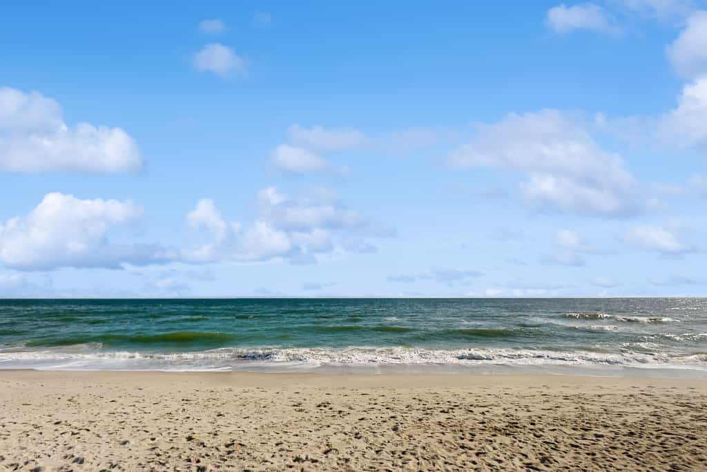 Oceanfront condo with furnished balcony, washer/dryer, & central AC