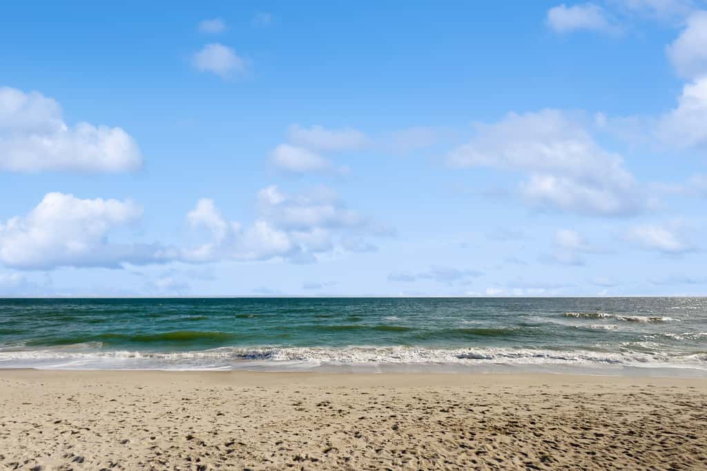 CB79 Carolina Beachfront Beauty
