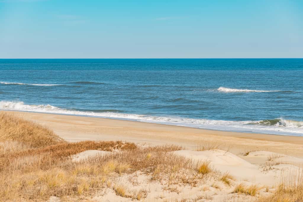 Gone Coastal