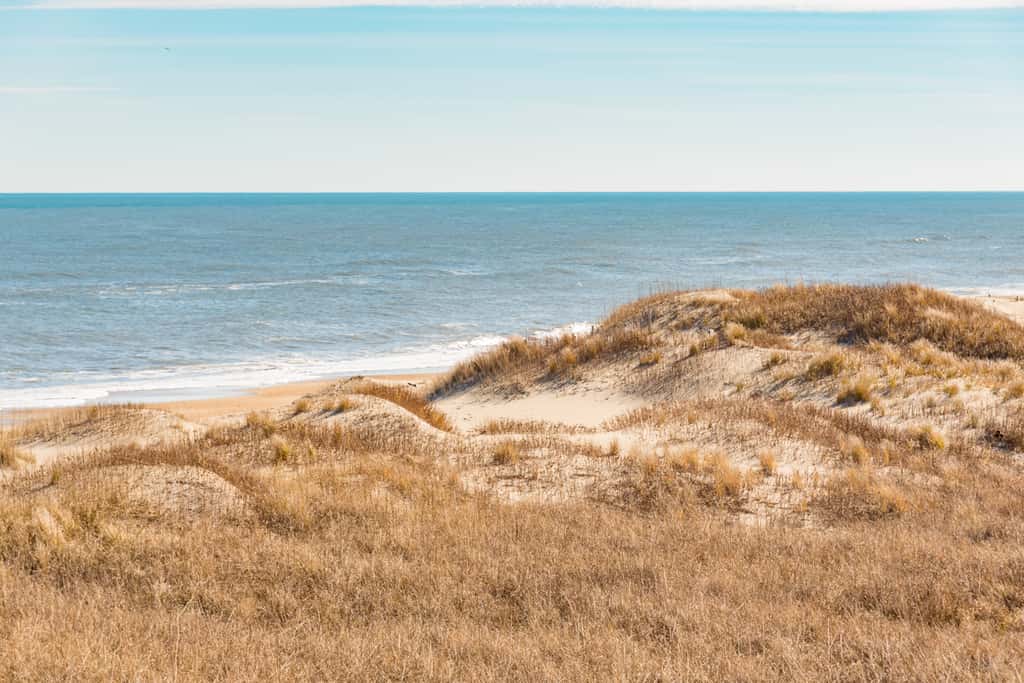 Gone Coastal