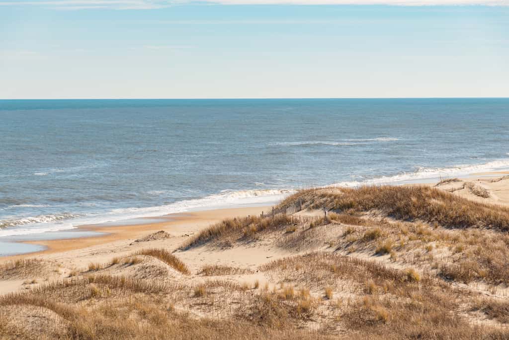 Gone Coastal