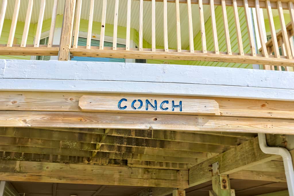 BXCACA4 Conch #4A-CAC