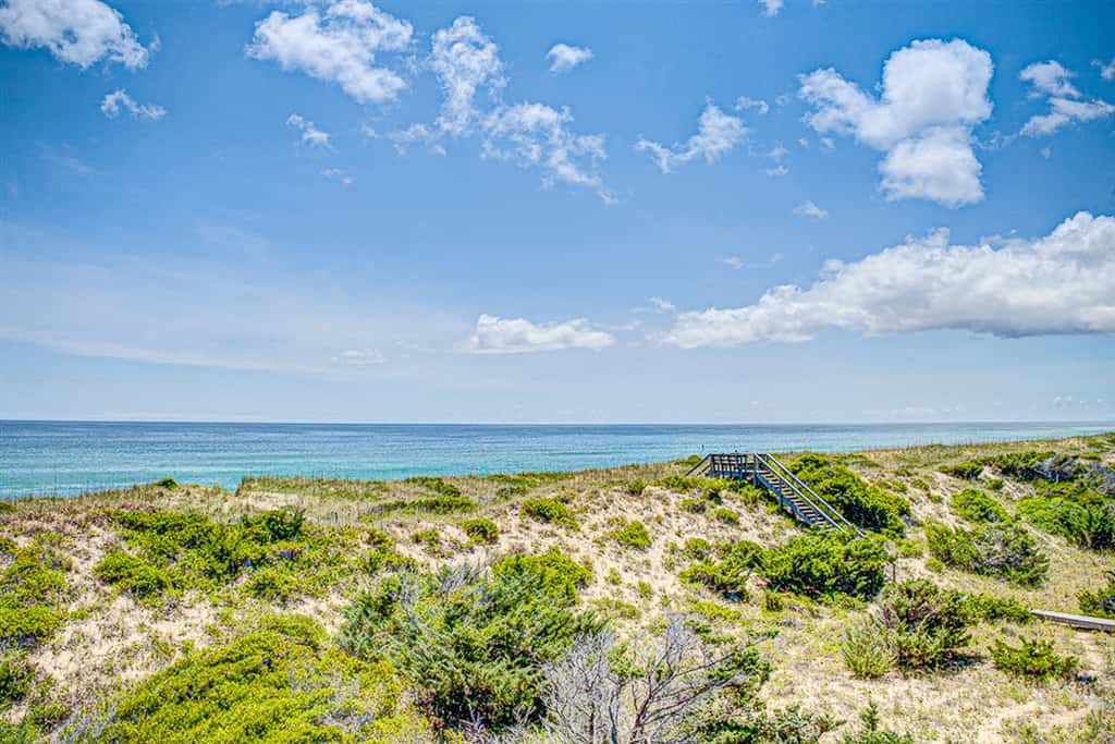 AV529 Dune It Right 529