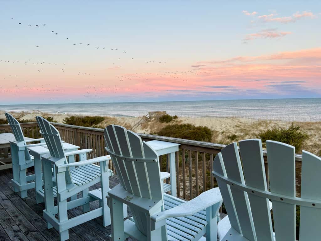 AV529 Dune It Right 529