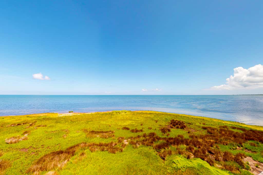 FOBB78 Brooks Island Refuge #78-F