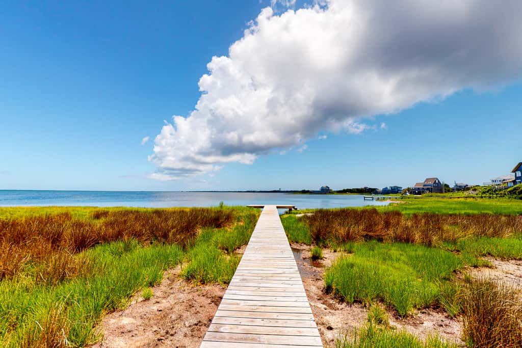 FOBB78 Brooks Island Refuge #78-F