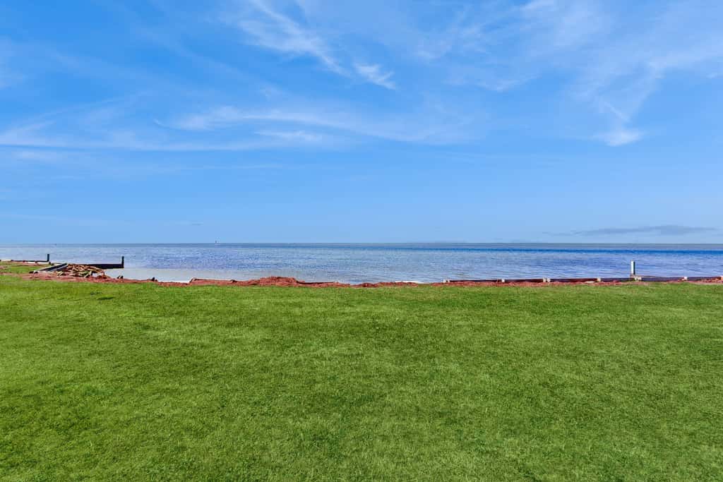 AVIC11 Island Star  #11-I