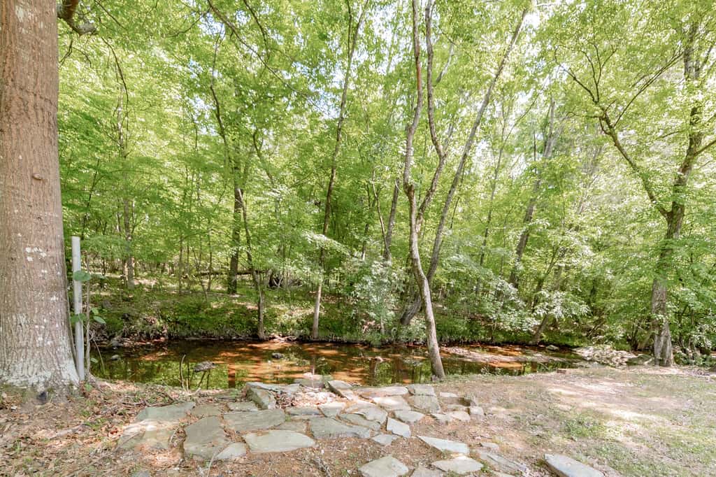 10 Mins to Lake Murray! The Dutch Creek Cottage