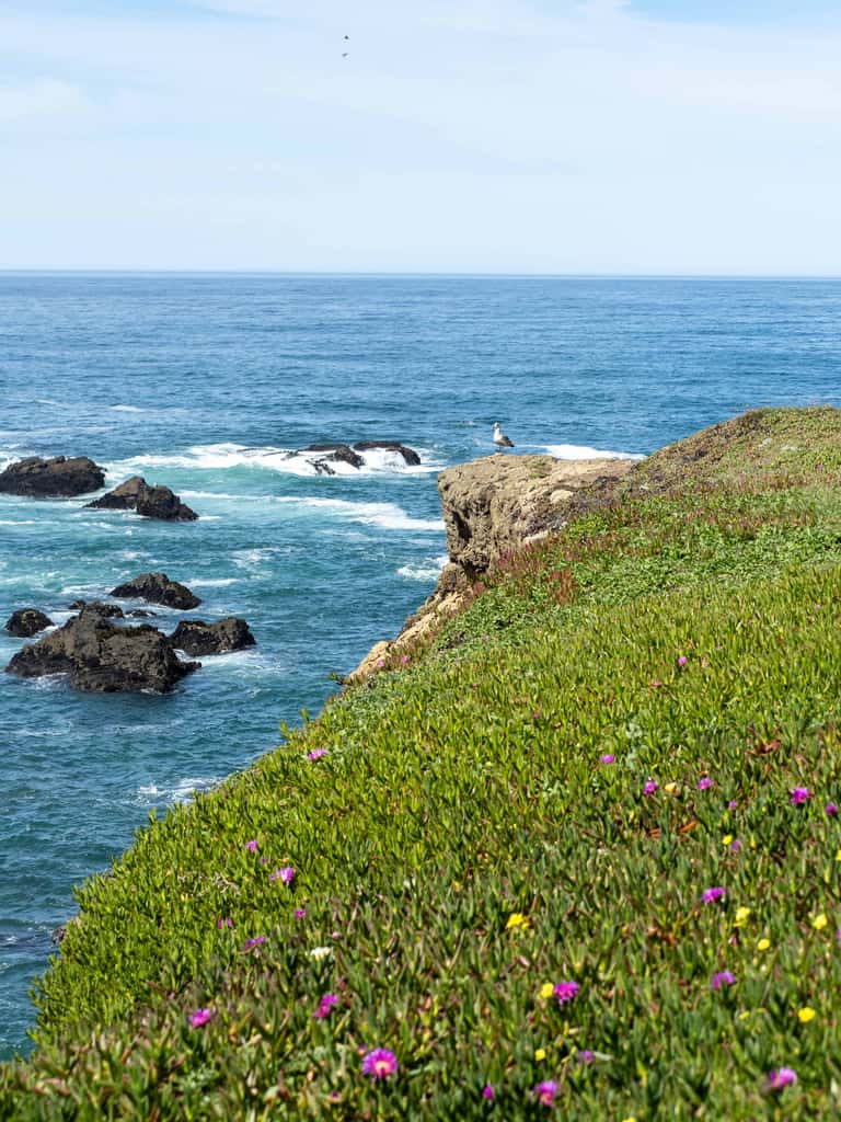 Dog Friendly Oceanfront Home with Hot Tub & Views