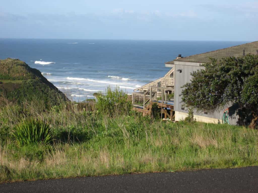 The Seaesta