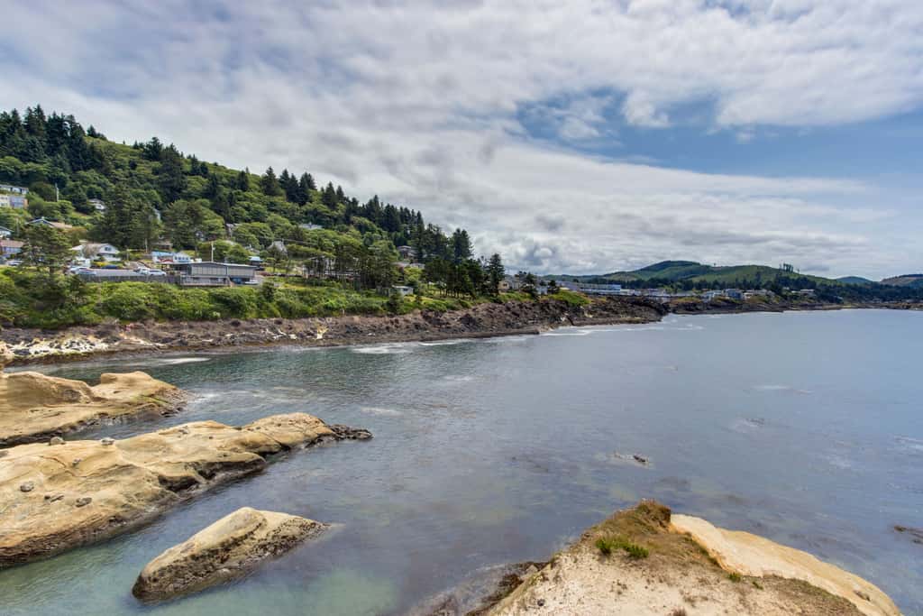 Dog Friendly Waterfront Loft with Seawall and Ocean Views One Block to Harbor