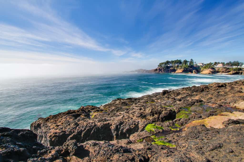 Gracie's Sea View