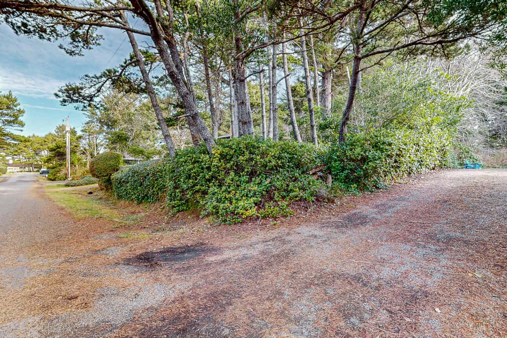 Fun and Unforgettable Beach House Dog friendly with a Great Location
