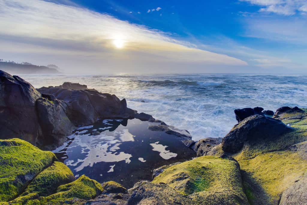 Oceanfront Beach Getaway with Amazing Views | Walk to the Beach