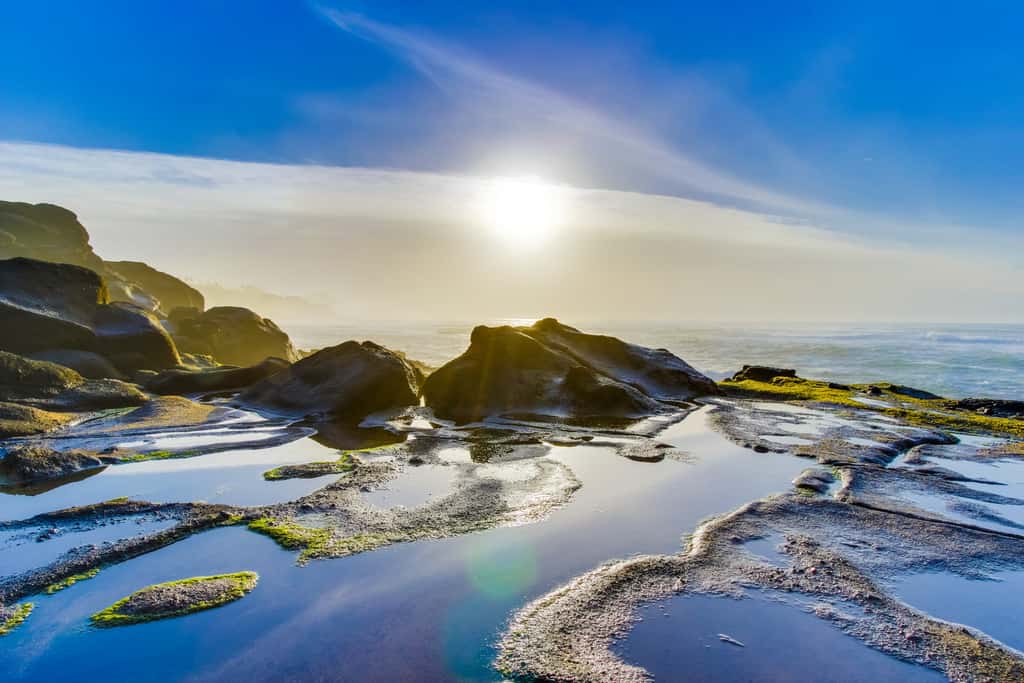 Oceanfront Beach Getaway with Amazing Views | Walk to the Beach