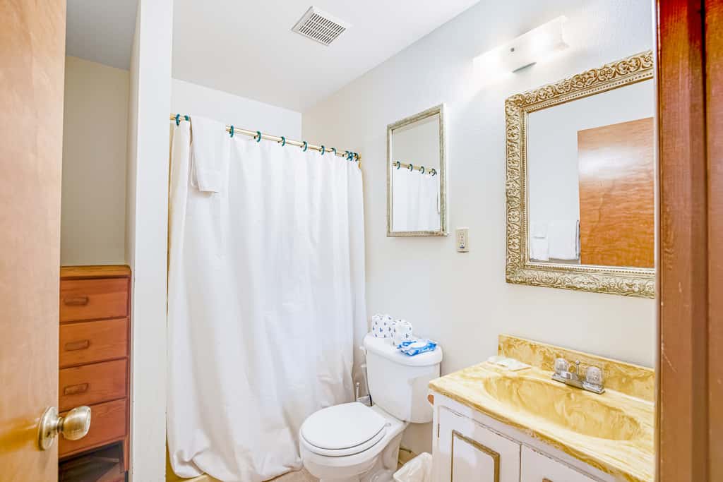 Dog friendly oceanview home one block to beach