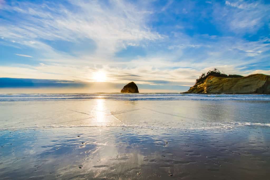 Beachcomber's Paradise