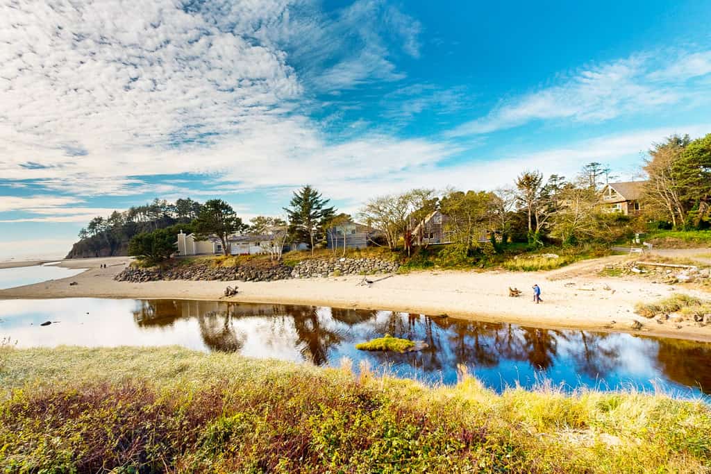 Coastal Tranquility