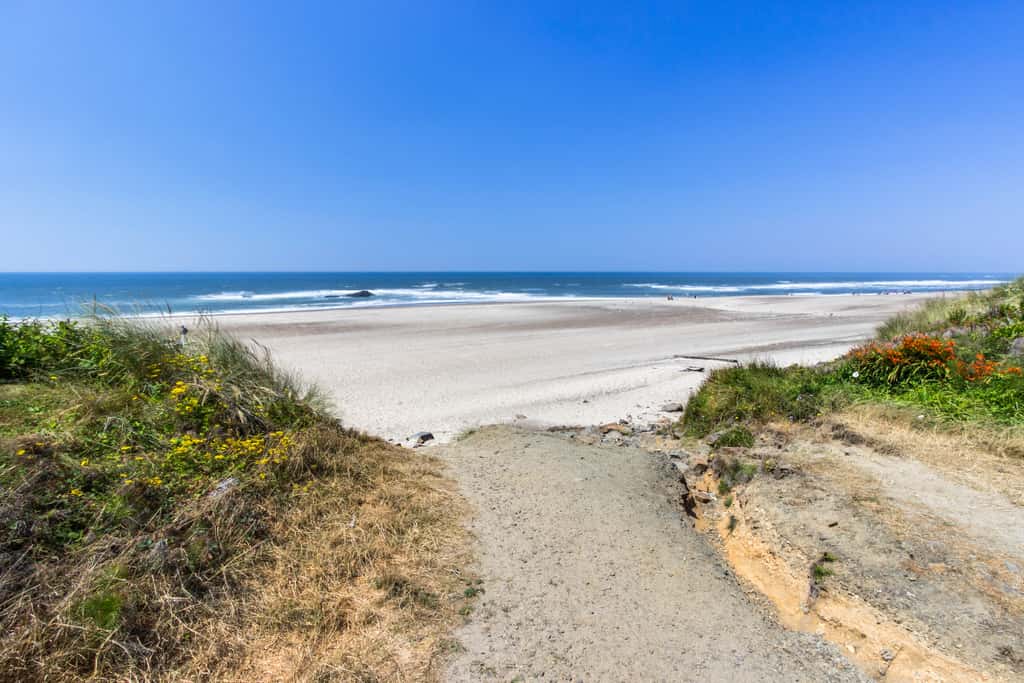 Upper Level Oceanview Studio Near the Beach Free WiFi Dogs Welcome