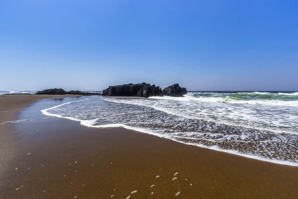 Upper Level Oceanview Studio Near the Beach Free WiFi Dogs Welcome