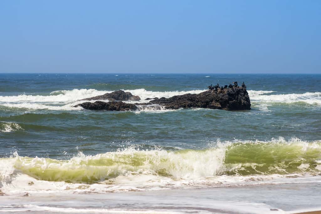 Upper Level Oceanview Studio Near the Beach Free WiFi Dogs Welcome
