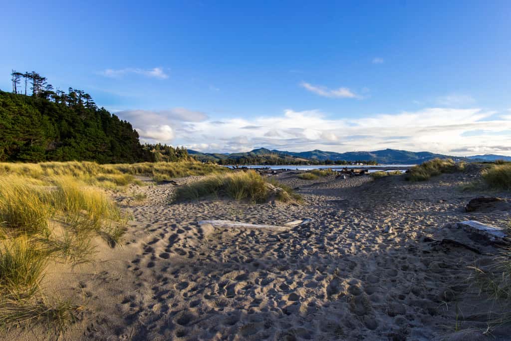 Upper Level Oceanview Studio Near the Beach Free WiFi Dogs Welcome