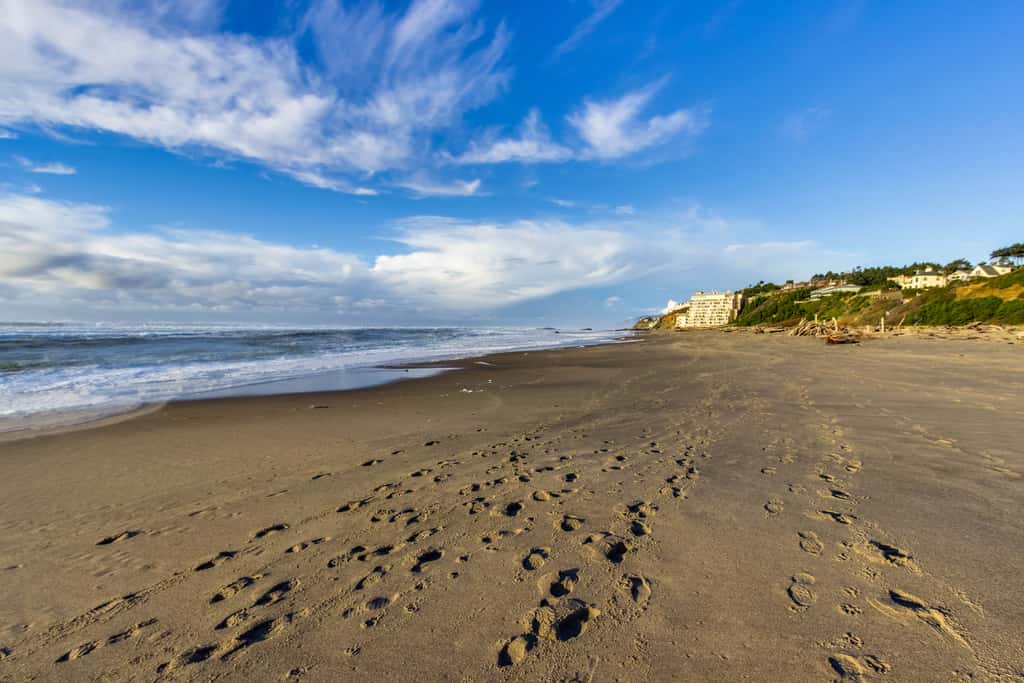 Upper Level Oceanview Studio Near the Beach Free WiFi Dogs Welcome