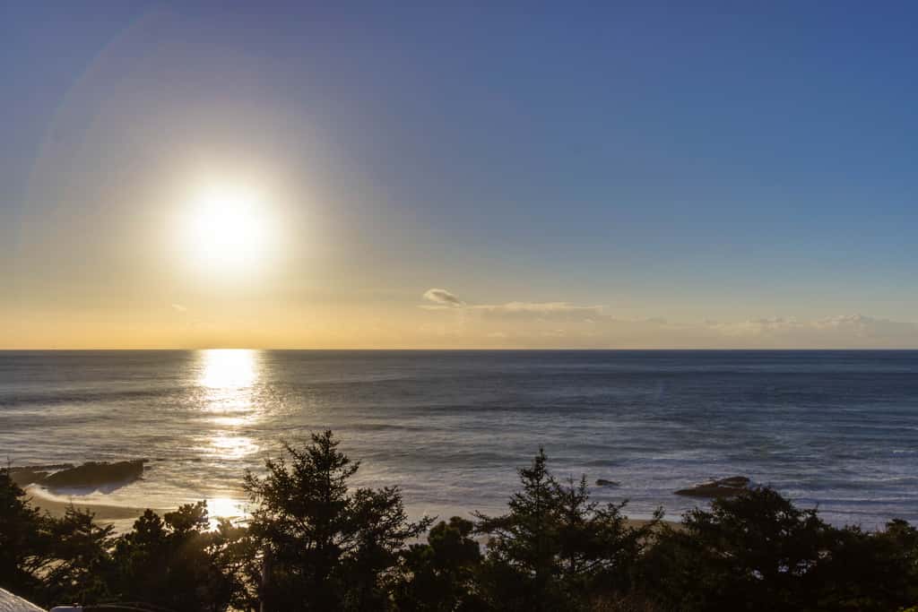 Upper Level Studio with Balcony Dog Friendly and Great Ocean Views