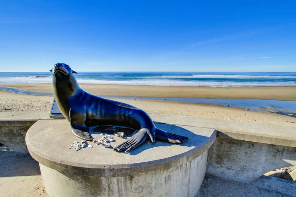Dog Friendly Studio Condo with Ocean Views and Nearby Beach Access