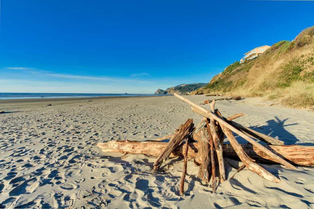 Dog Friendly Studio Condo with Ocean Views and Nearby Beach Access
