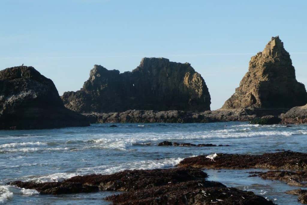 Dog friendly beach home ideal for entertaining with 2 fireplaces and great kitchen