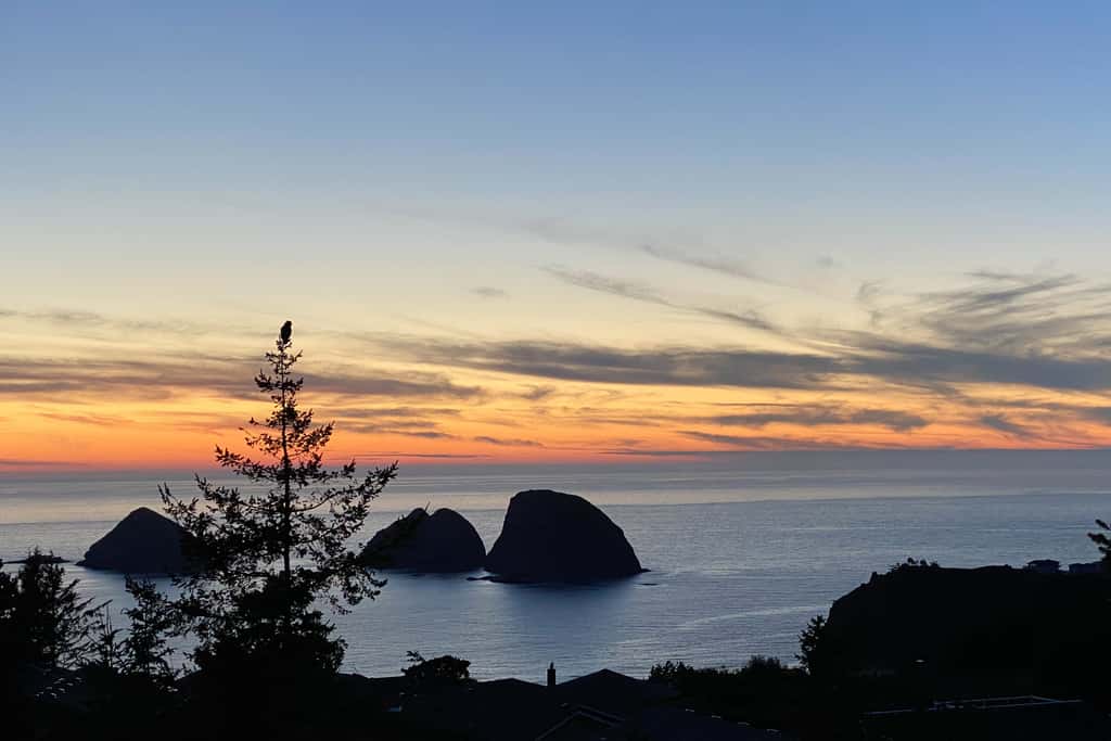 Dog friendly home with ocean views deck washer dryer grill and fireplace