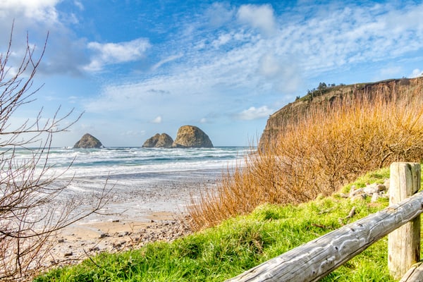 Starpoint Shore