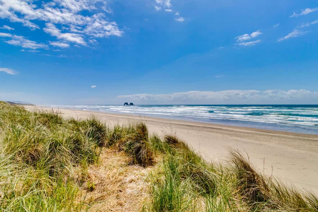 Pacific Horizon Haven