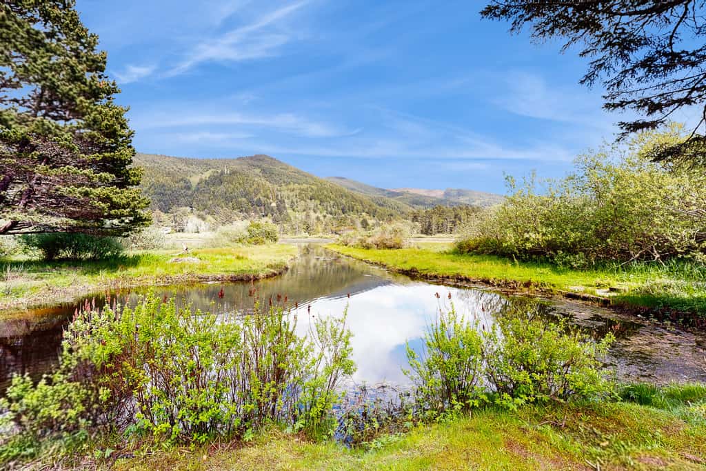 Centrally located home with lake views private pool and spacious deck