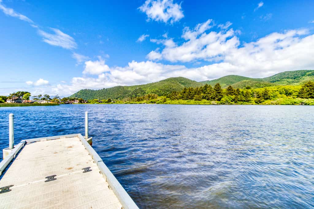 Lake Lytle Lookout