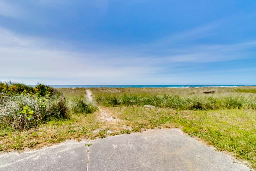 Beach Whale