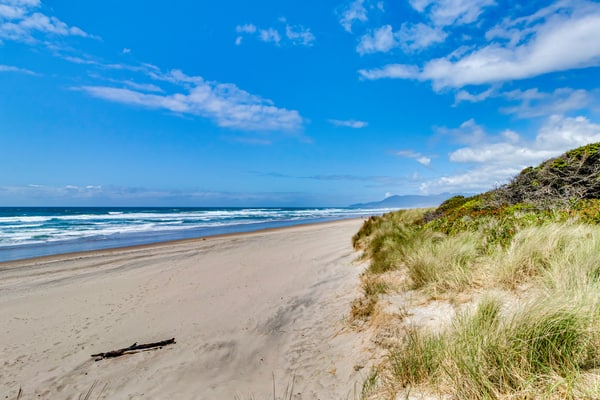 The Oceanfront Estate #204