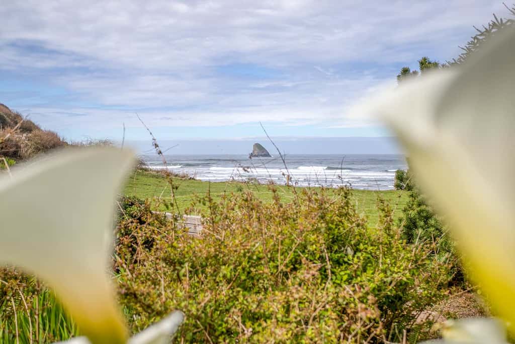 Oceanfront cottage with hot tub beach access fireplace and WiFi Dog friendly
