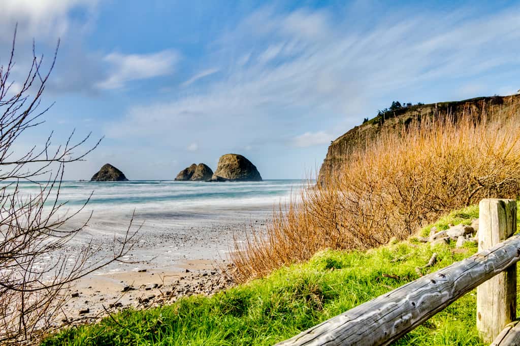 Beautiful and dog friendly ocean views with a private patio