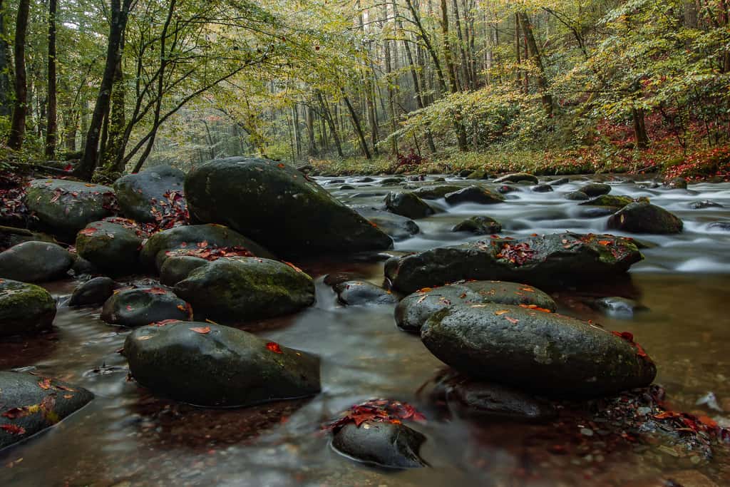 Near Dollywood Retreat・Pool・Grill・Pet-Friendly