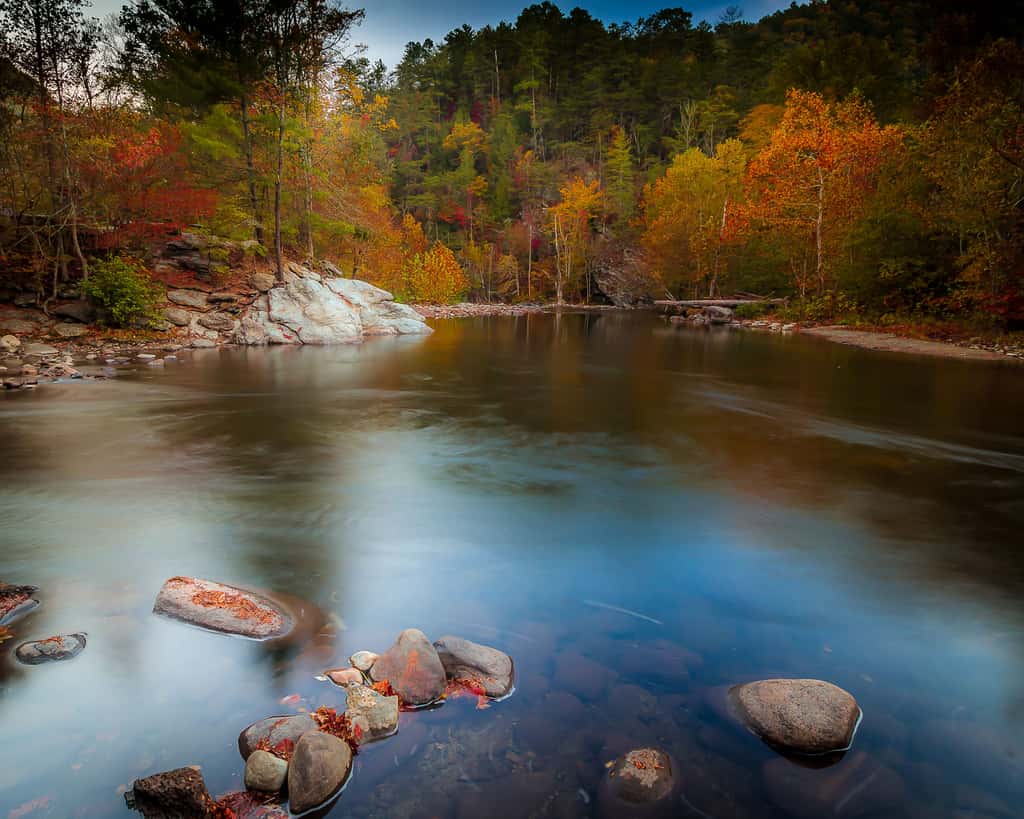 Near Dollywood Retreat・Pool・Grill・Pet-Friendly