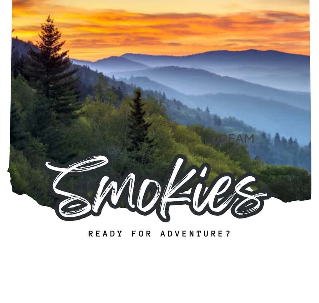 Near Dollywood Retreat・Pool・Grill・Pet-Friendly