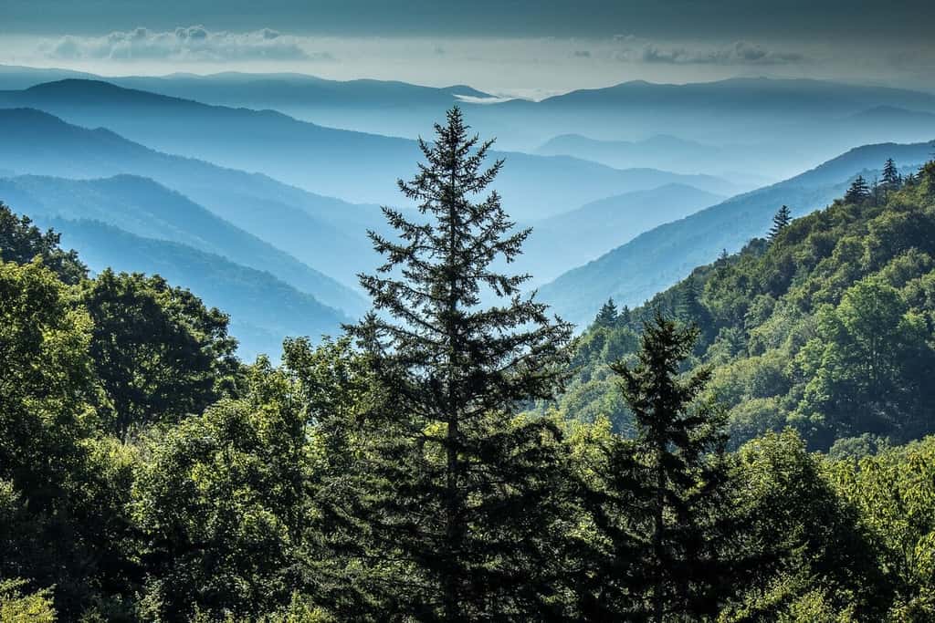 Peaceful Getaway, Sleeps 6・Pet Friendly & Hot Tub