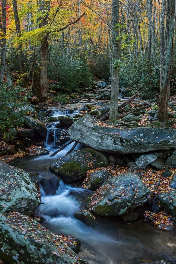 Peaceful Getaway, Sleeps 6・Pet Friendly & Hot Tub