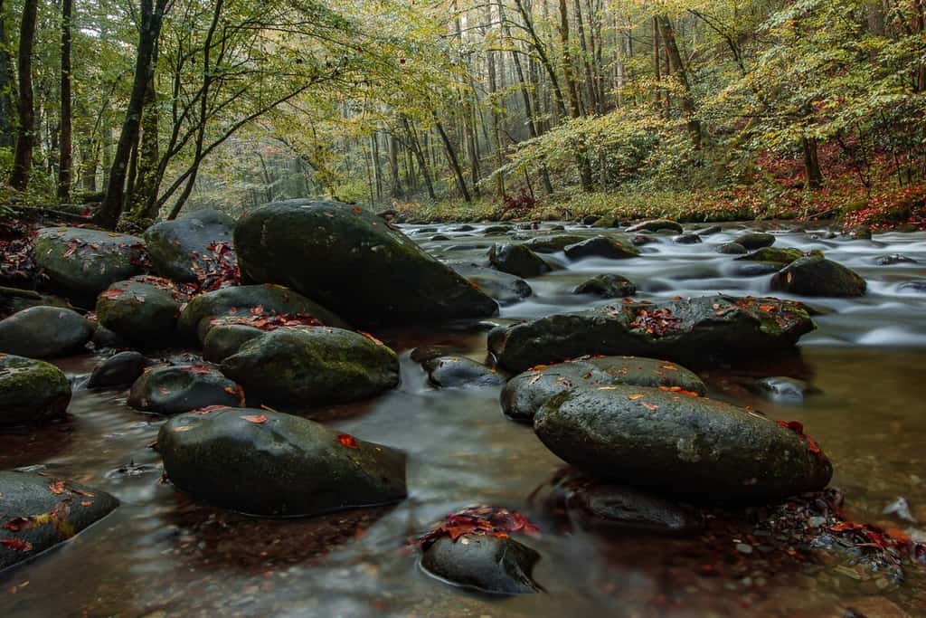 Peaceful Getaway, Sleeps 6・Pet Friendly & Hot Tub
