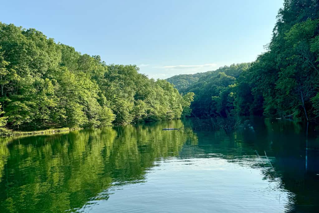 Norris Cove Lakefront Retreat・Games・Dog-friendly