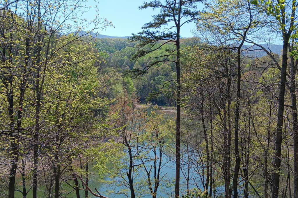 Norris Cove Lakefront Retreat・Games・Dog-friendly