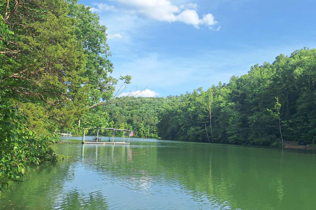 Norris Cove Lakefront Retreat・Games・Dog-friendly